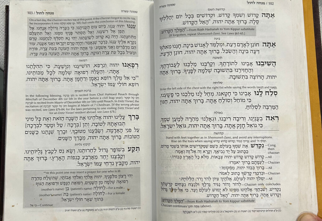 The Case of the Tired Shliach Tzibbur for Mincha 17th of Tammuz The