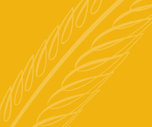 Ad Banner