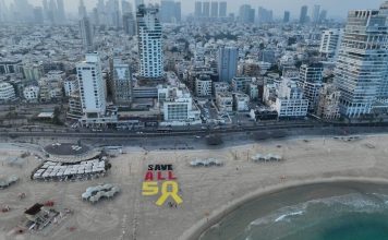 (Avishai Reisner/Pro-Democracy Protest Movement)