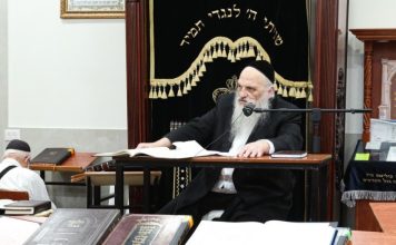 HaGaon HaRav Chaim Feinstein