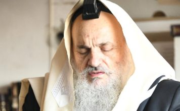 HaGaon HaRav Chaim Feinstein