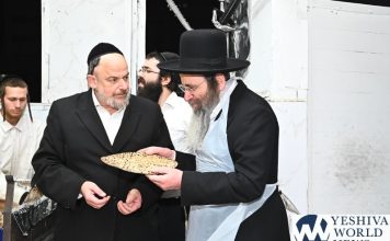 AB2_8183