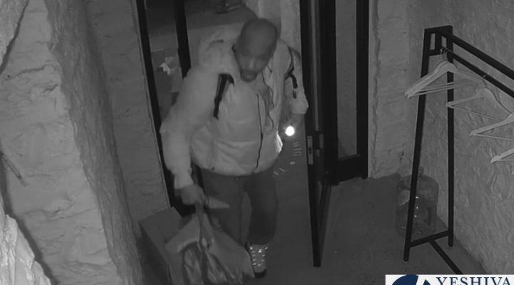 Hustle-Wig-Theft