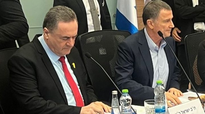 Defense Minister Katz at the Knesset meeting. (Screenshot)