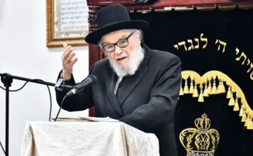 HaGaon HaRav Hirsch. (Shuki Lehrer)